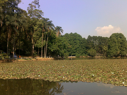 Lago do Horto Florestal
